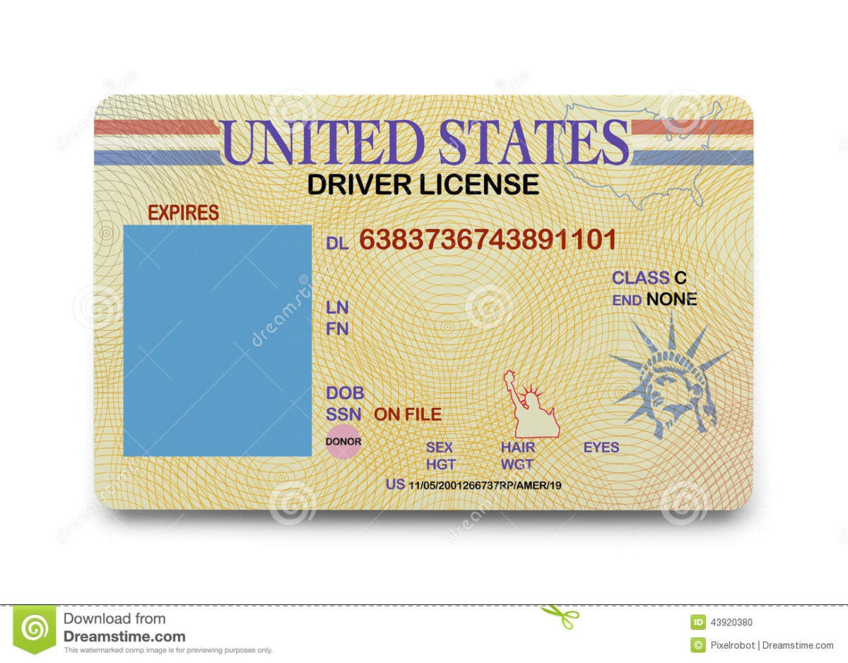 Blank Drivers License Template Professional Format Templates