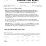 11+ Annual Sales Report Examples – Pdf, Word, Pages | Examples Inside Sales Trip Report Template Word
