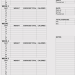 12+ Blank Workout Log Sheet Templates To Track Your Progress Regarding Blank Workout Schedule Template