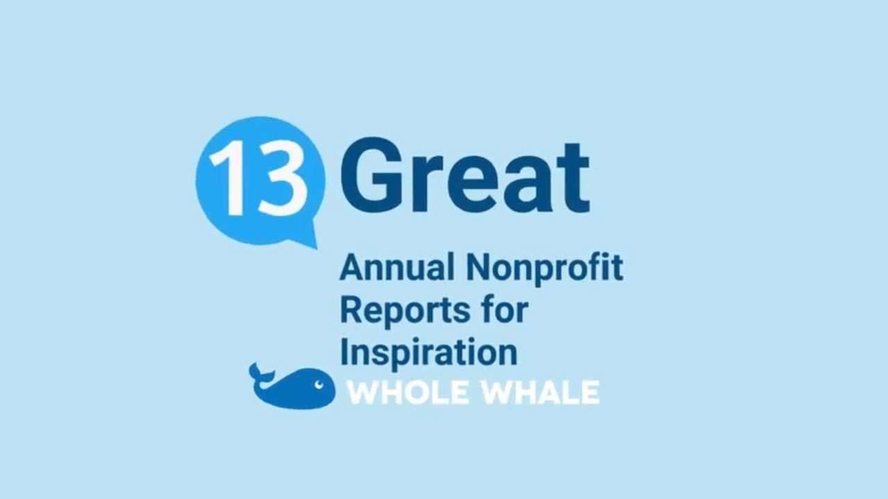 13+ Of The Best Nonprofit Annual Reports — With Ideas To Intended For Non Profit Annual Report Template