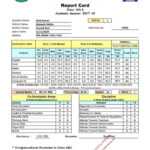 28+ [ Report Card Book ] | Cce Software For Cbse Report Card Intended For Homeschool Report Card Template