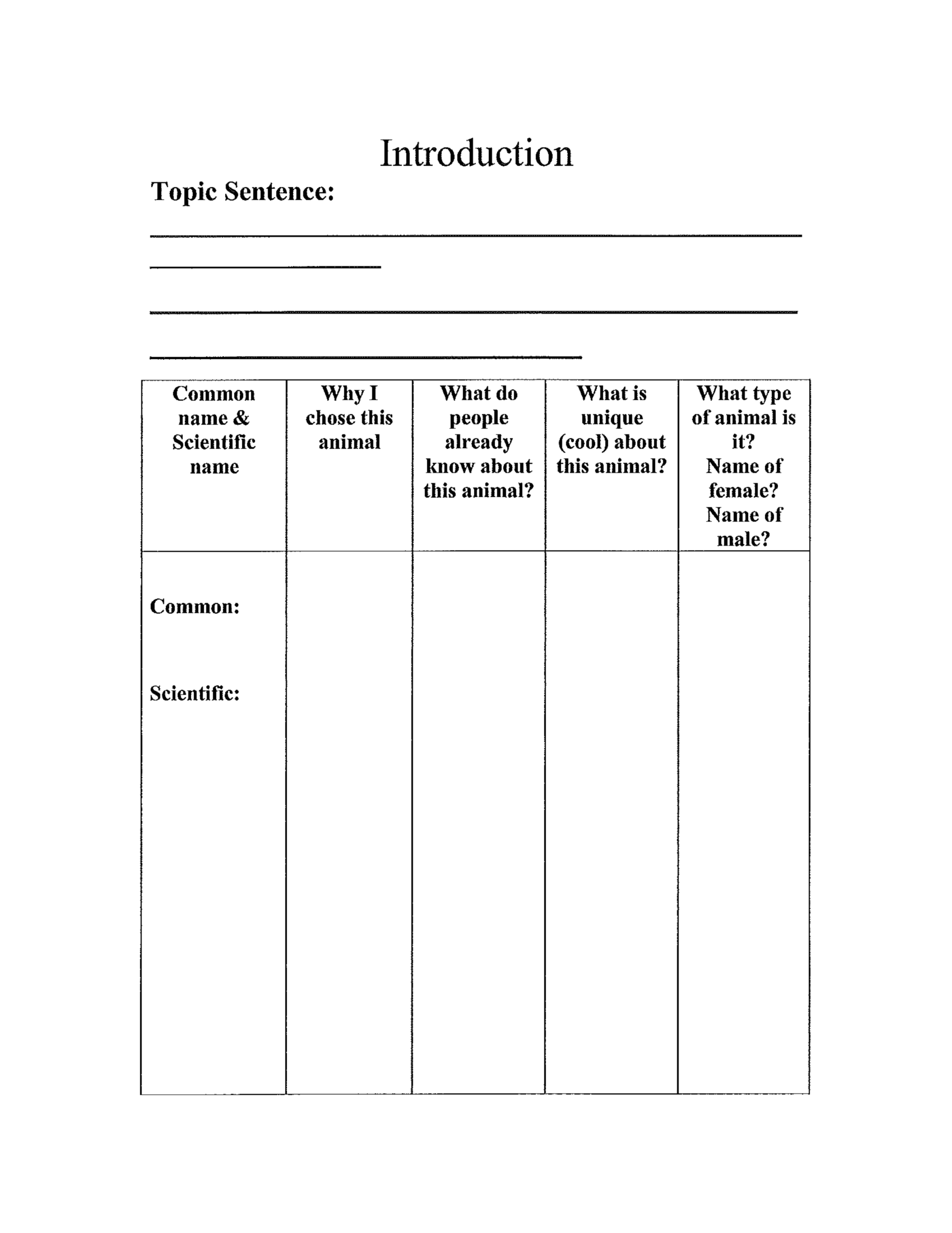 3Rd Grade Animal Report Template Free Download Intended For Animal Report Template