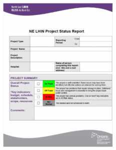 40+ Project Status Report Templates [Word, Excel, Ppt] ᐅ in One Page Project Status Report Template