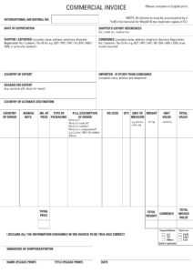 7+ Commercial Invoice Examples - Pdf | Examples in Commercial Invoice Template Word Doc