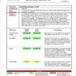 8+ Weekly Status Report Examples – Pdf | Examples Throughout Weekly Status Report Template Excel