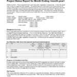 9+ Status Report Examples – Doc, Pdf | Examples For Project Manager Status Report Template