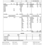 Adp Check Stub – Fill Online, Printable, Fillable, Blank Intended For Free Pay Stub Template Word