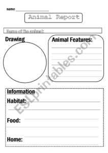 Animal Report Template - Esl Worksheetflora.m123 regarding Animal Report Template