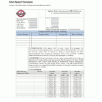 Appendix K – Sra Report Template | Airport Safety Risk Inside Risk Mitigation Report Template