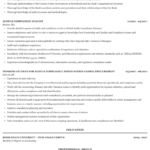 Audit Compliance Resume Sample | Mintresume Intended For Ssae 16 Report Template