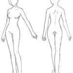 Blank Body Drawing At Getdrawings | Free Download For Blank Model Sketch Template