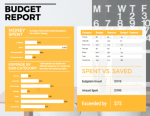 Budget Report within Annual Budget Report Template