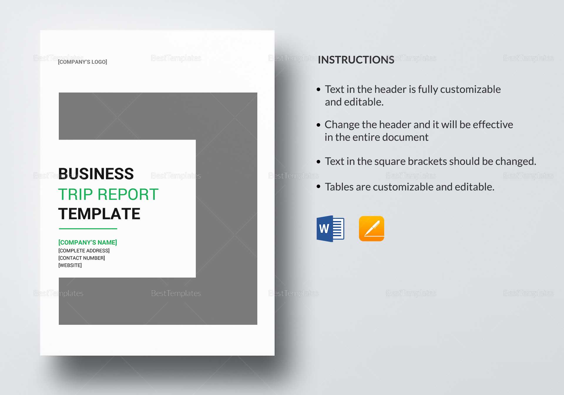 Business Trip Report Template With Regard To Sales Trip Report Template Word