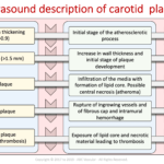 Carotid Course Info | Abc Vascular Within Carotid Ultrasound Report Template