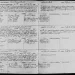 Chicagogenealogy: Research Insights From Study And Throughout Coroner's Report Template