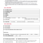 Construction Incident Report Form | Templates At Inside Construction Accident Report Template