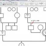 Create Your Genogram With Regard To Genogram Template For Word