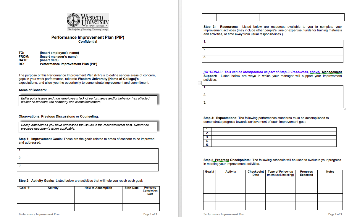 Examples Of Performance Improvement Plans For Employees With Performance Improvement Plan Template Word