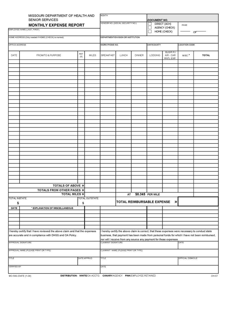 Expense Report Template Expenses Spreadsheet Templates To Within Daily Expense Report Template