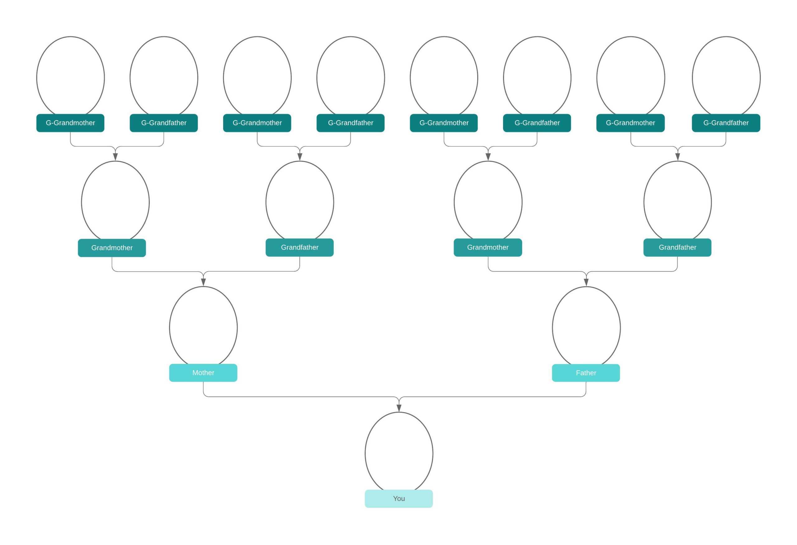 Family Tree Generator | Lucidchart Pertaining To Blank Tree Diagram Template