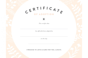 Fan Printable Adoption Certificate | Graham Website throughout Blank Adoption Certificate Template