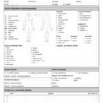 Free 14+ Patient Report Forms In Pdf | Ms Word Intended For Generic Incident Report Template