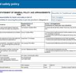 Health And Safety Implications / Risk Assessment Report For Health Check Report Template
