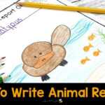 How To Easily Write Animal Reports With Kids Inside Animal Report Template