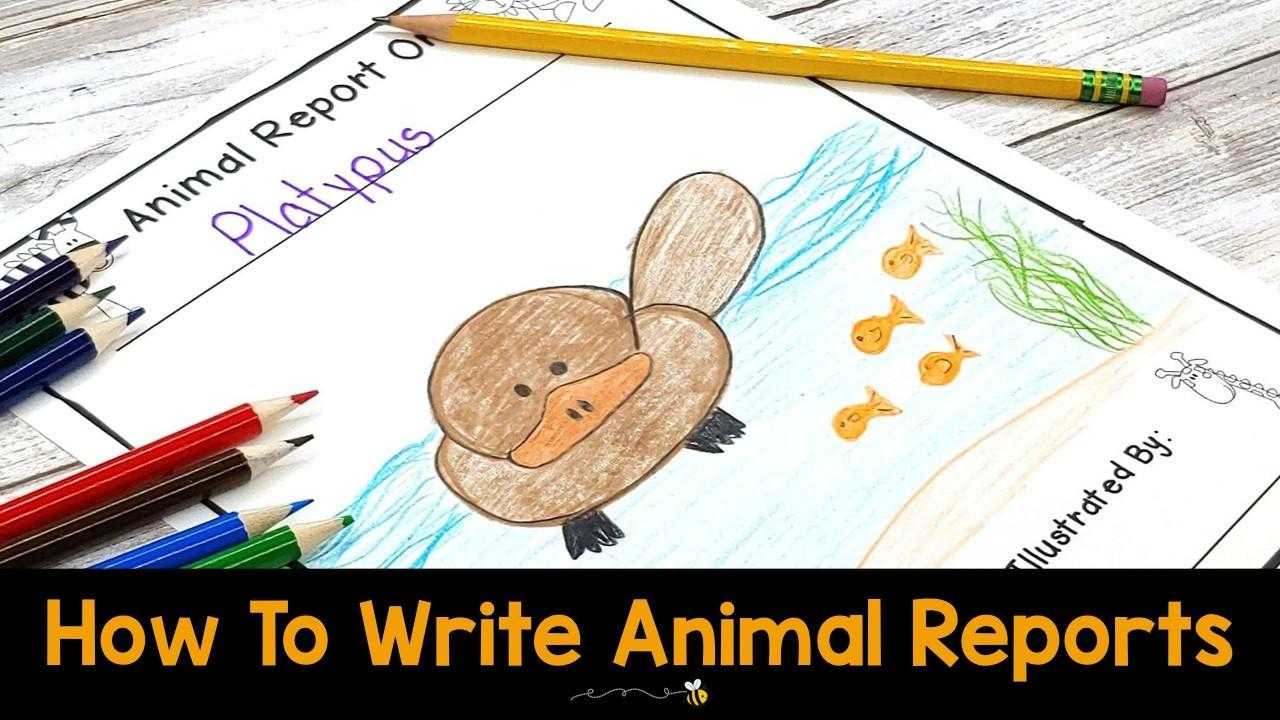 How To Easily Write Animal Reports With Kids Inside Animal Report Template