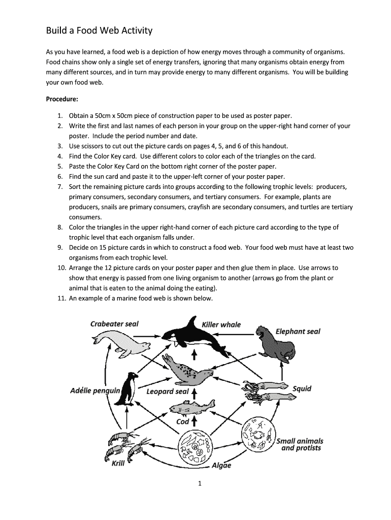 How To Make A Food Web – Fill Online, Printable, Fillable Regarding Blank Food Web Template