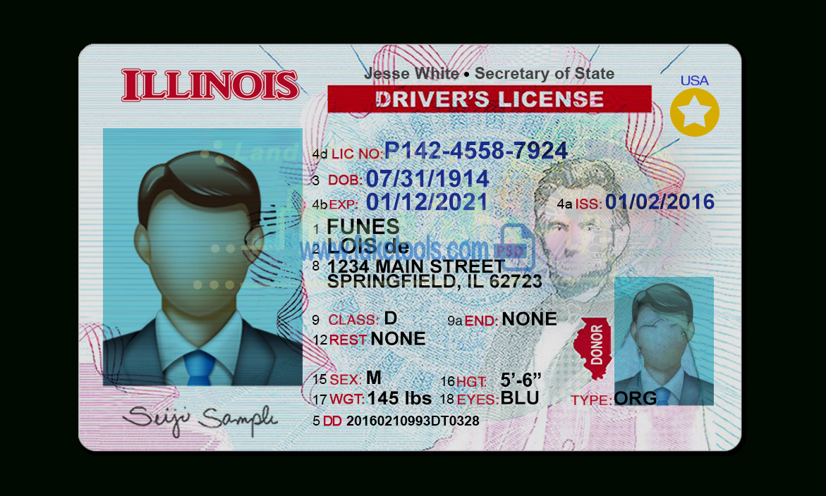 Illinois Driver License Psd Template For Blank Drivers License Template