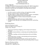 Kostenloses Entry Level Business Analyst Resume For Business Analyst Report Template