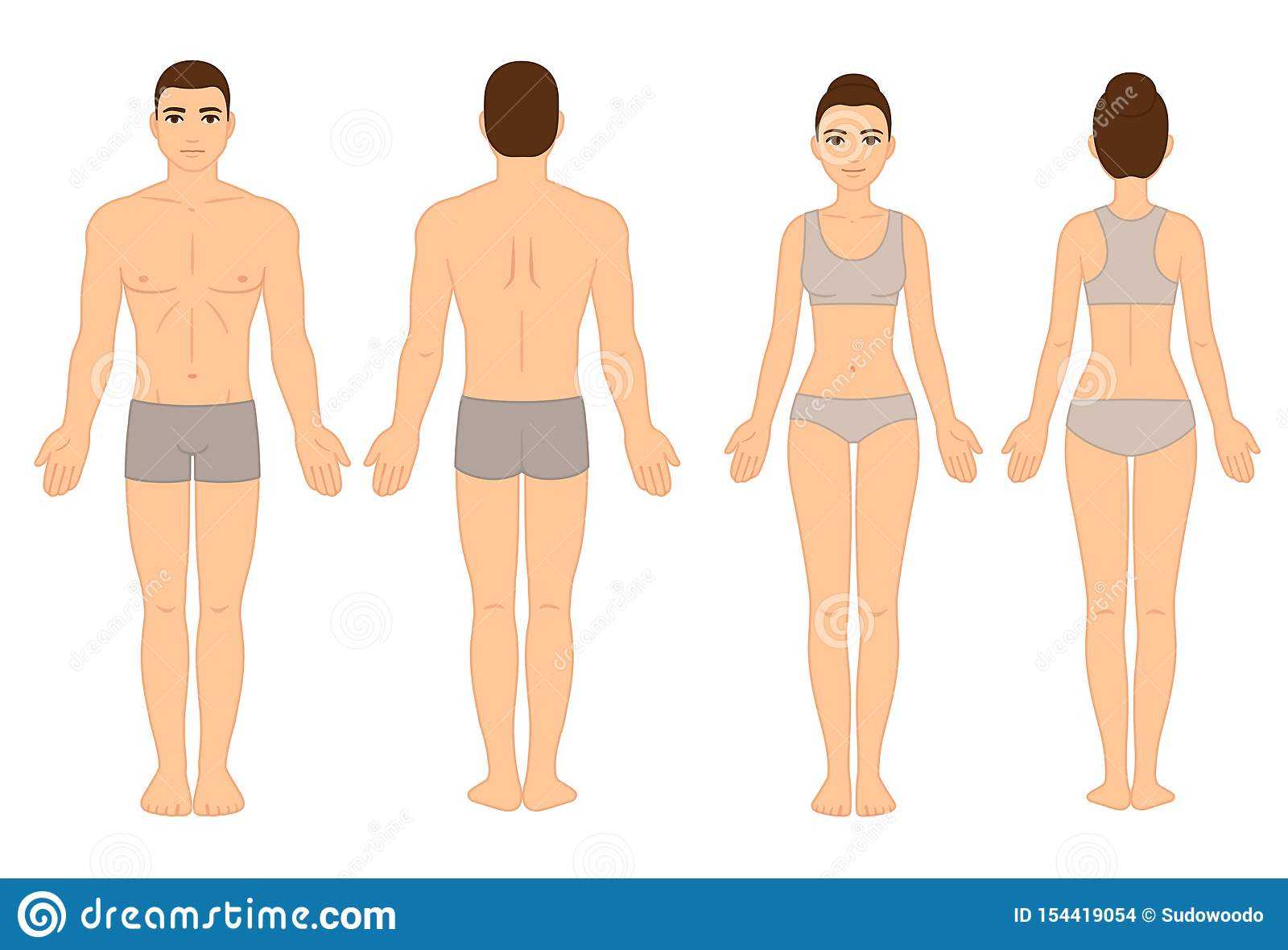 Male And Female Body Chart Stock Vector. Illustration Of Pertaining To Blank Body Map Template