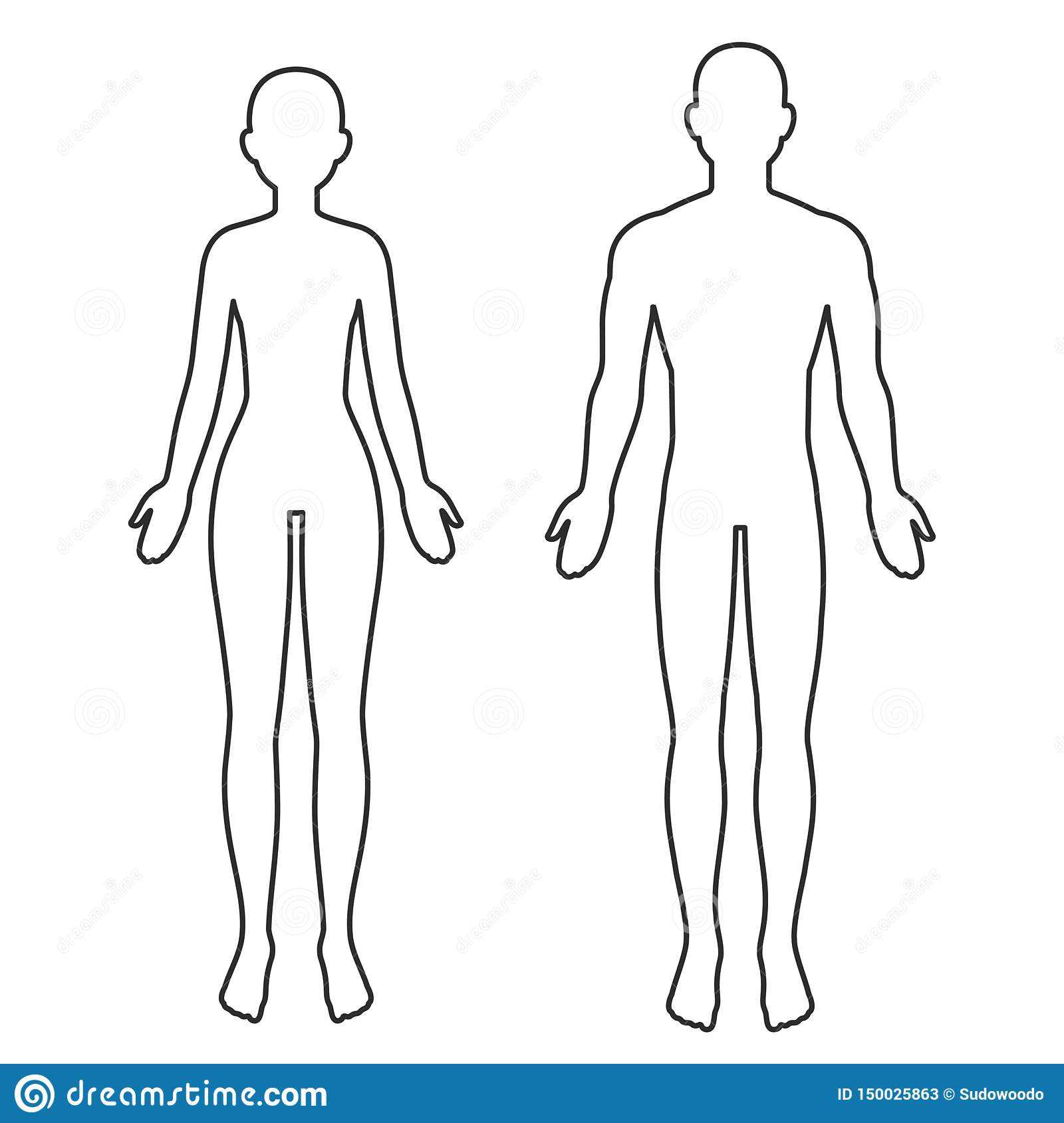 Male And Female Body Outline Stock Vector – Illustration Of Inside Blank Body Map Template