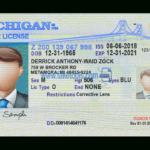 Michigan Driver License Psd Template In Blank Drivers License Template