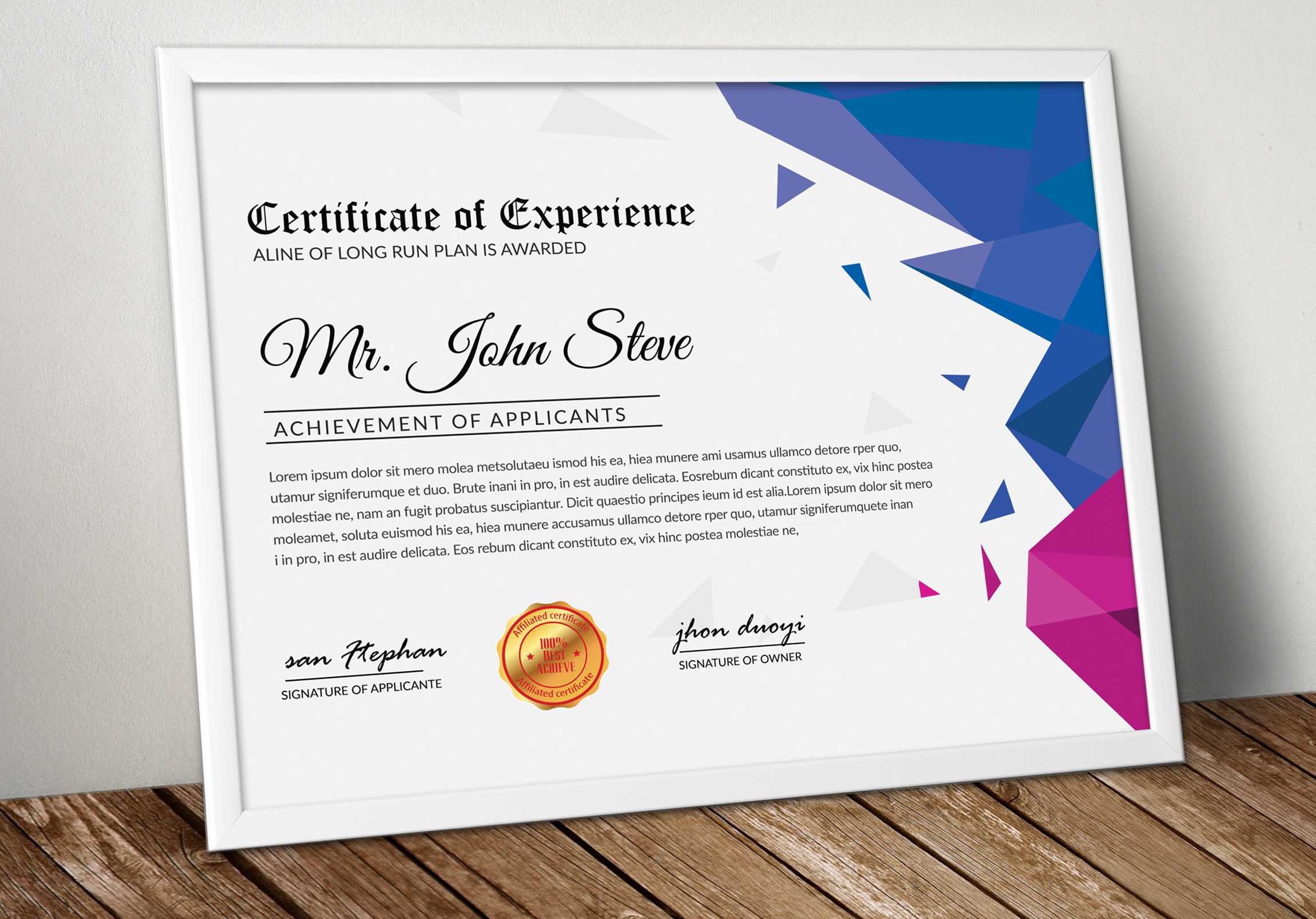 Microsoft Word Certificate Template – Vsual Pertaining To Professional Certificate Templates For Word