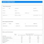 Modifi Ed Semen Analysis Report Template. The Main Inside Report Specification Template