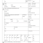 Nurse Brain Sheet Editable – Fill Online, Printable In Nursing Report Sheet Template