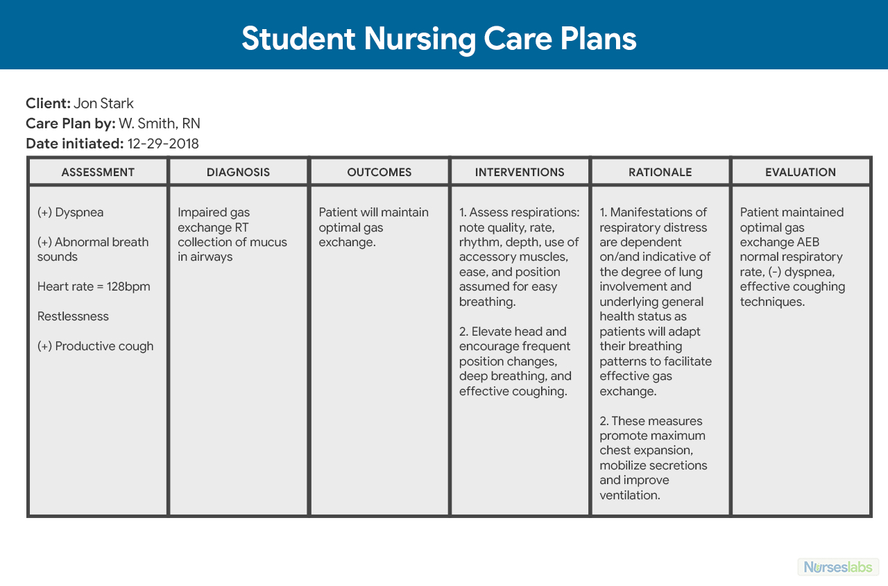 Nursing Care Plan (Ncp): Ultimate Guide And Database Throughout Nursing Care Plan Templates Blank