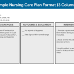 Nursing Care Plan (Ncp): Ultimate Guide And Database With Nursing Care Plan Template Word