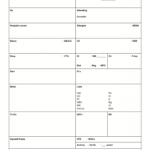 Nursing Report Sheet Template – Nursejanx Store Within Nursing Report Sheet Template