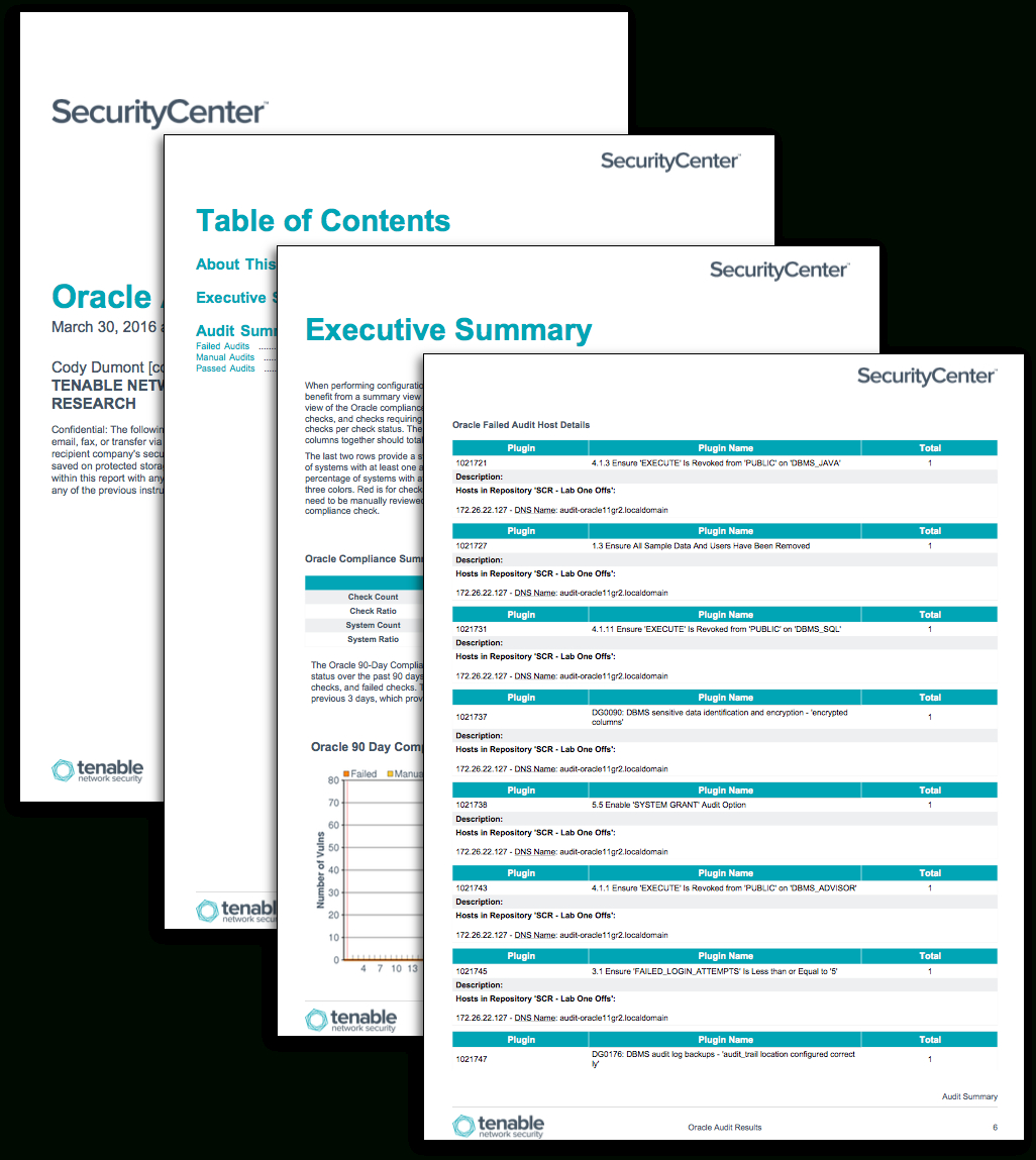 Oracle Audit Results – Sc Report Template | Tenable® With Regard To Template For Audit Report