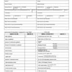 Personal Financial Statement Template Excel - Oflu.bntl throughout Blank Personal Financial Statement Template