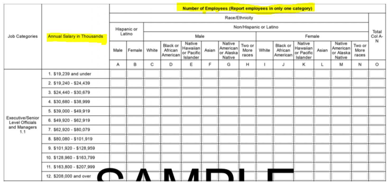 Prepare Now For Next Eeo 1 Component Intended For Eeo 1 Report Template