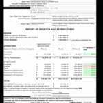 Printable Grant Financial Report Template Best Of intended for Fundraising Report Template