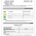 Replacethis] Project Monthly Status Report Template Example For Executive Summary Project Status Report Template