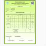 Report Card Generator Software, Student Report Card For Report Card Format Template