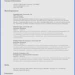 Resume Templates For Ms Word 2010 – Resume Sample : Resume Within Resume Templates Word 2010