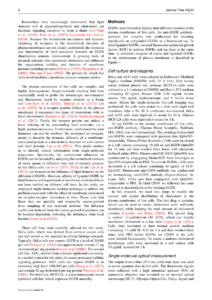 Sage - Sage Open Template intended for Journal Paper Template Word