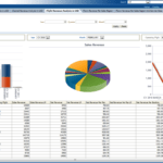 Sample Item Analysis Report ] – Sample Apperson Datalink Intended For Sales Analysis Report Template